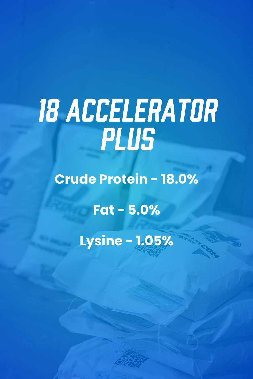 18 Accelerator Plus (18AP) SW