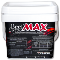 Beef Cattle Max