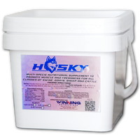 Husky