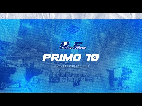 Primo 10 MW